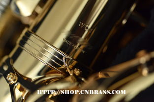 柳澤中音薩克斯a wo1 樂器配件選購與維護指南