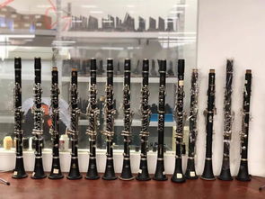 嘉善2家企業(yè)首登省級榜單 實現(xiàn)樂器配件領(lǐng)域零突破