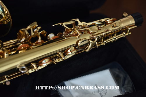 柳澤中音薩克斯A-WO1樂器配件全面解析